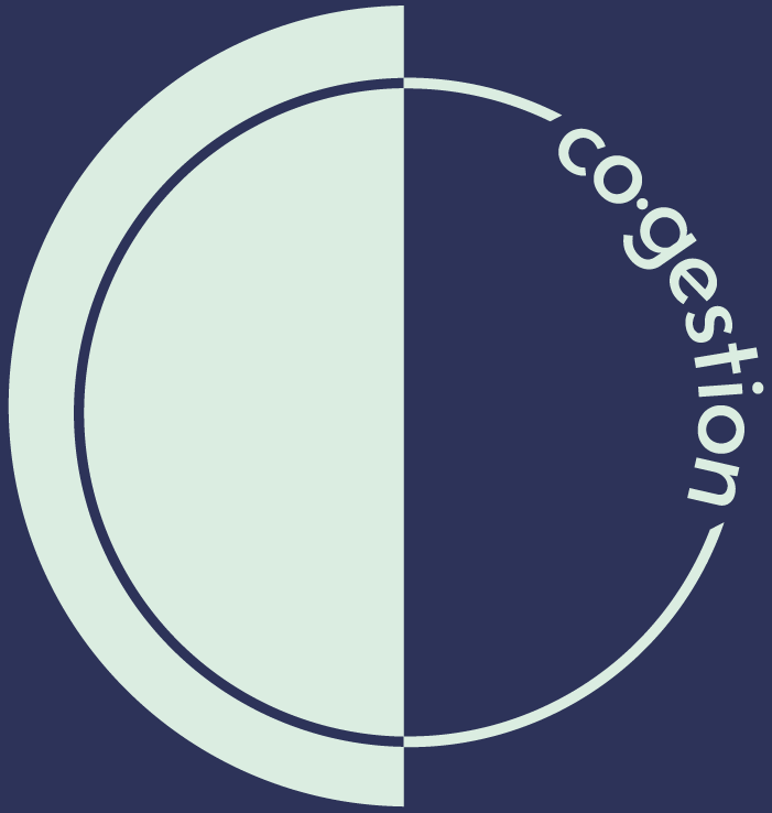 logo de c.co.gestion